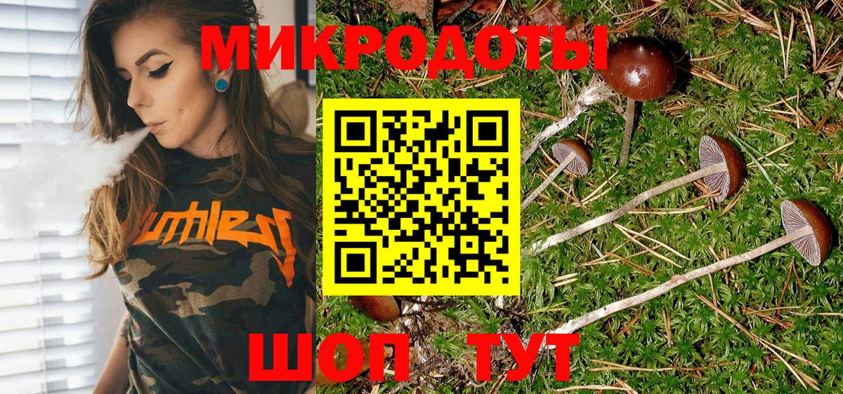 Псилоцибиновые грибы Psilocybe  Вход с VPN  Орёл 