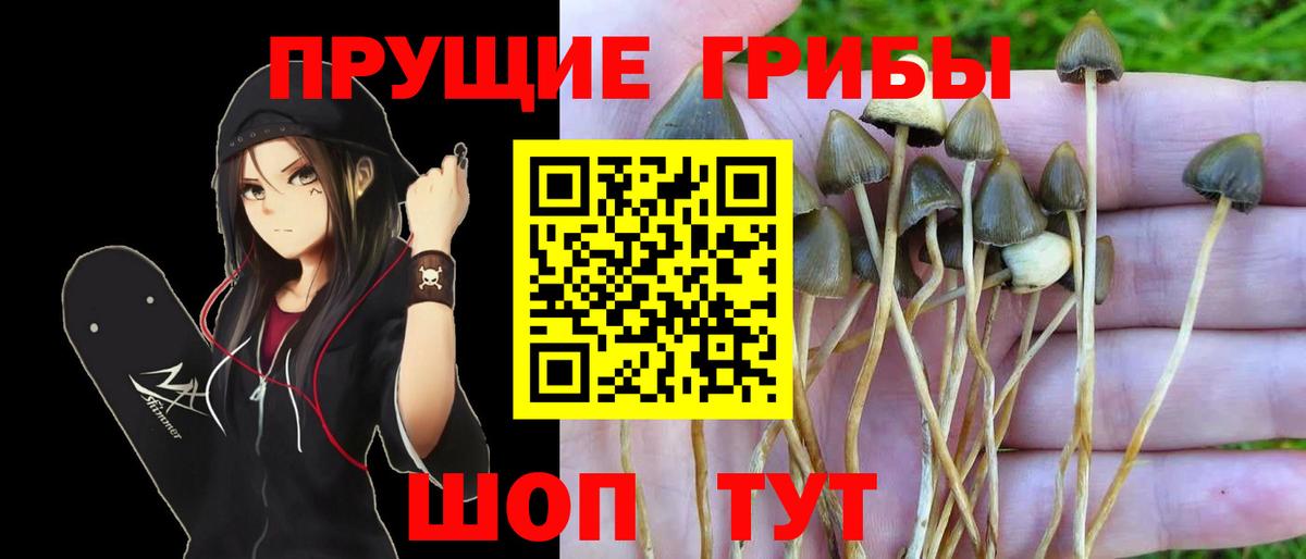 Галлюциногенные грибы мухоморы Орёл