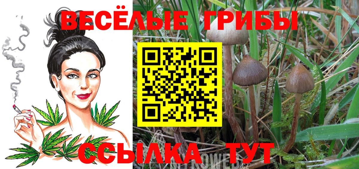 ТГК Орёл